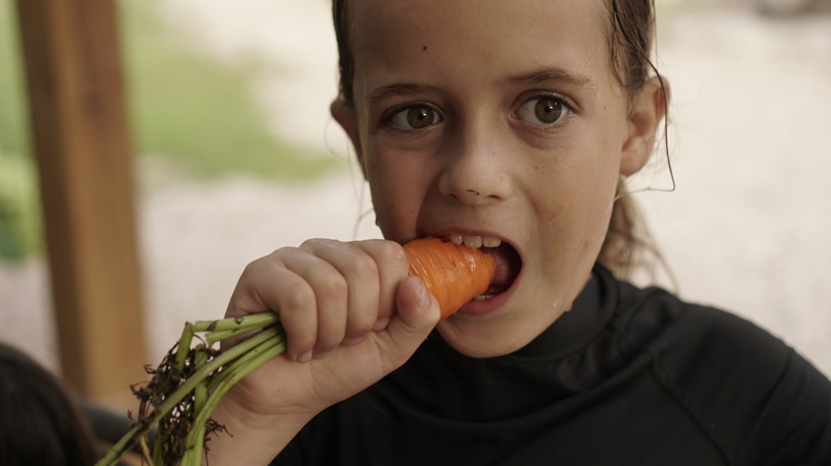 Alimentación infantil saludable